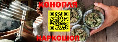 Альфа ПВП Канаш