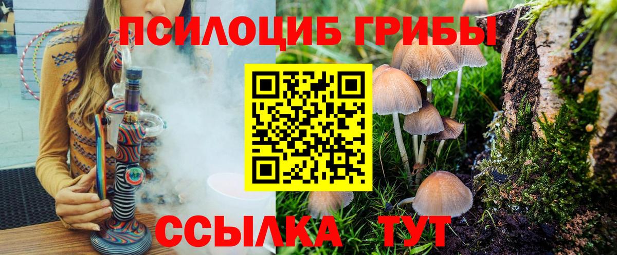 Выборг  Галлюциногенные грибы прущие грибы  Вход с VPN 